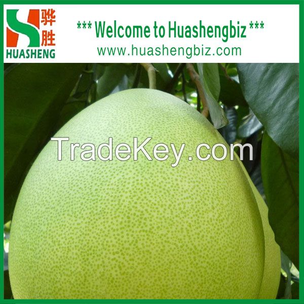 Top Quality Honey pomelo