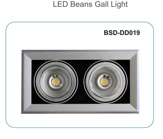 LED Beans Gall Light (BSD-DD019)