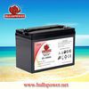 6v200ah lead acid battery,VRLA battery for golf car&amp;electric vehicles