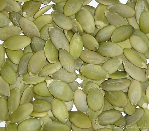 2012 crop PUMPKIN SEEDS (AA GRADE,A GRADE)