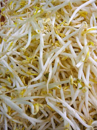 bean sprouts