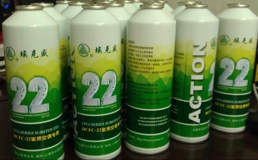 Auto Air-Conditioning Gas R22 Packed in 500g N. W. Small Can Packing