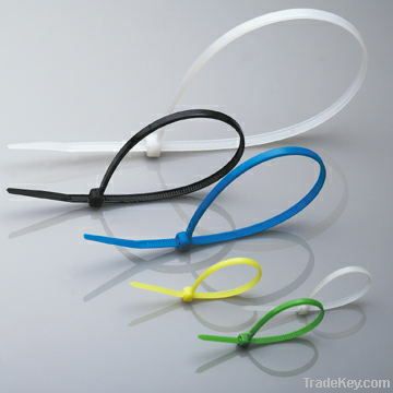 Nylon cable tie