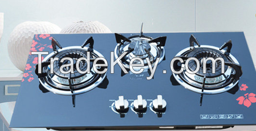 gas stove and hood