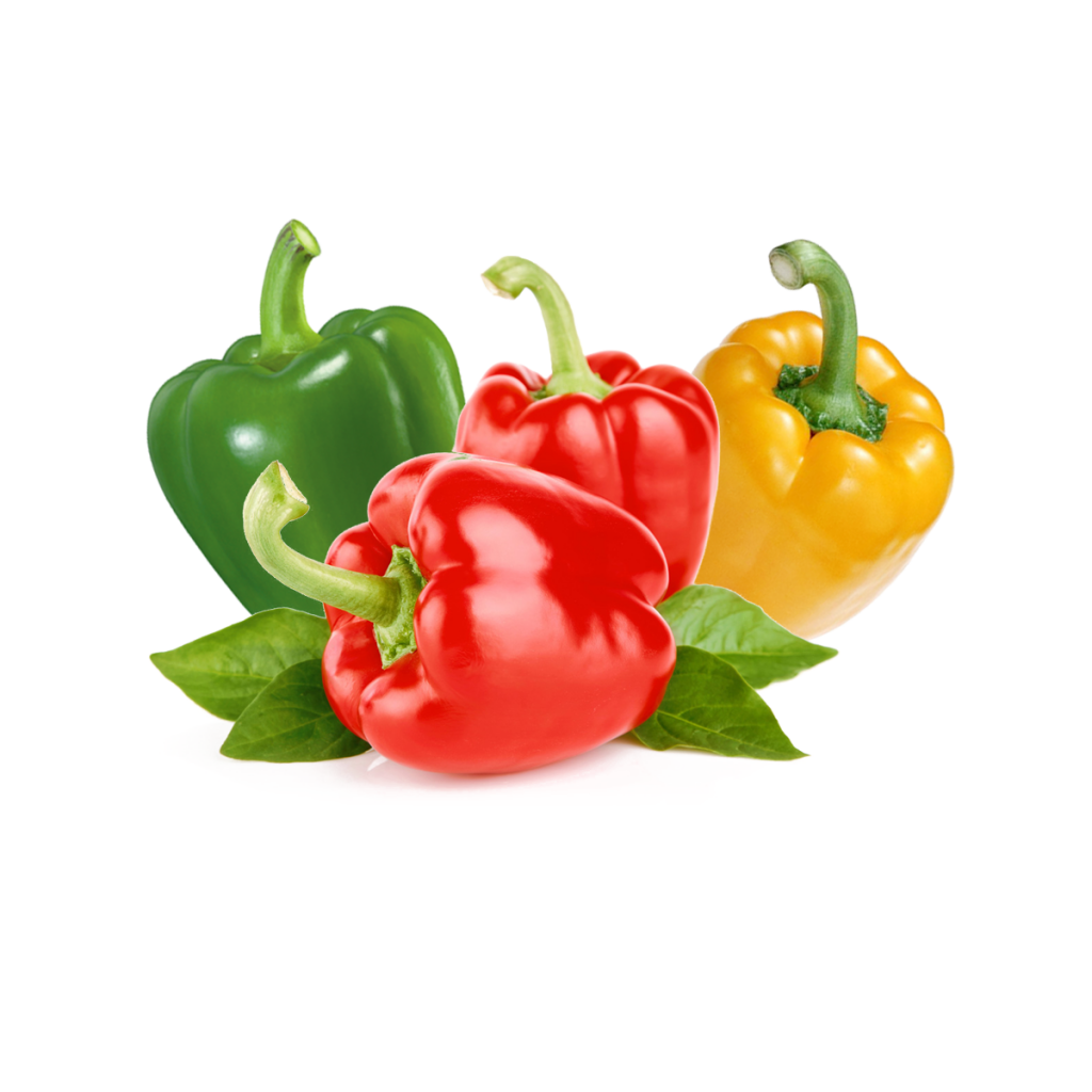 Top quality fresh green and red pepper accept custom planting
