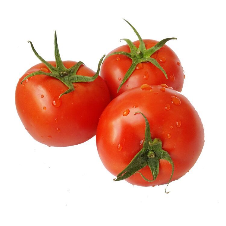 Top quality fresh tomatoes accept custom planting