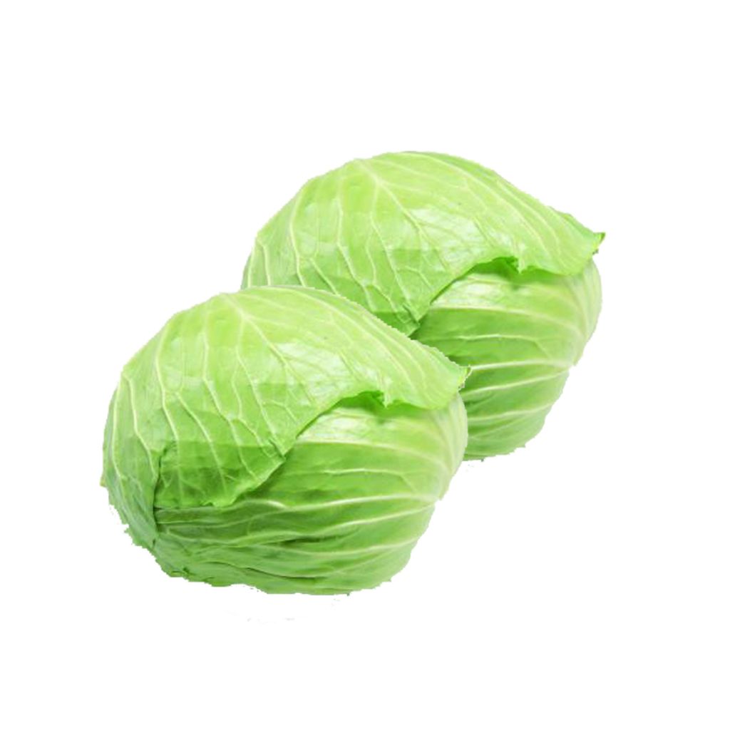 Top quality fresh round cabbage accept custom planting