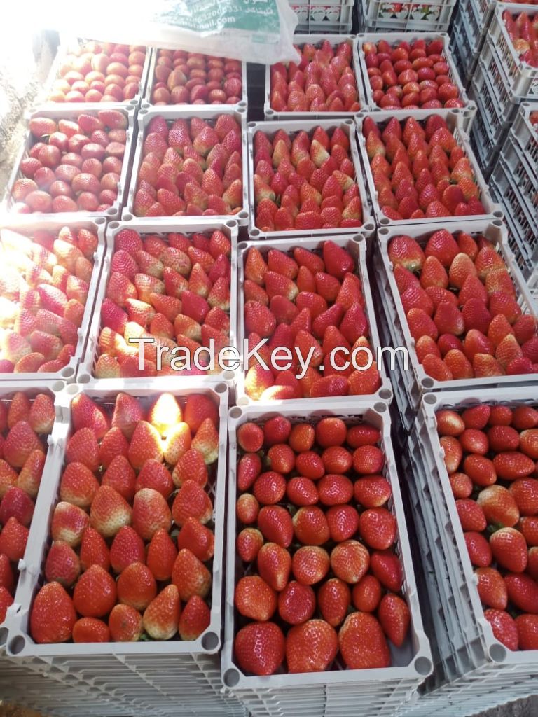 Fresh Strawberries (without)