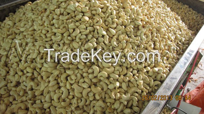 Cashew Nut Kernels