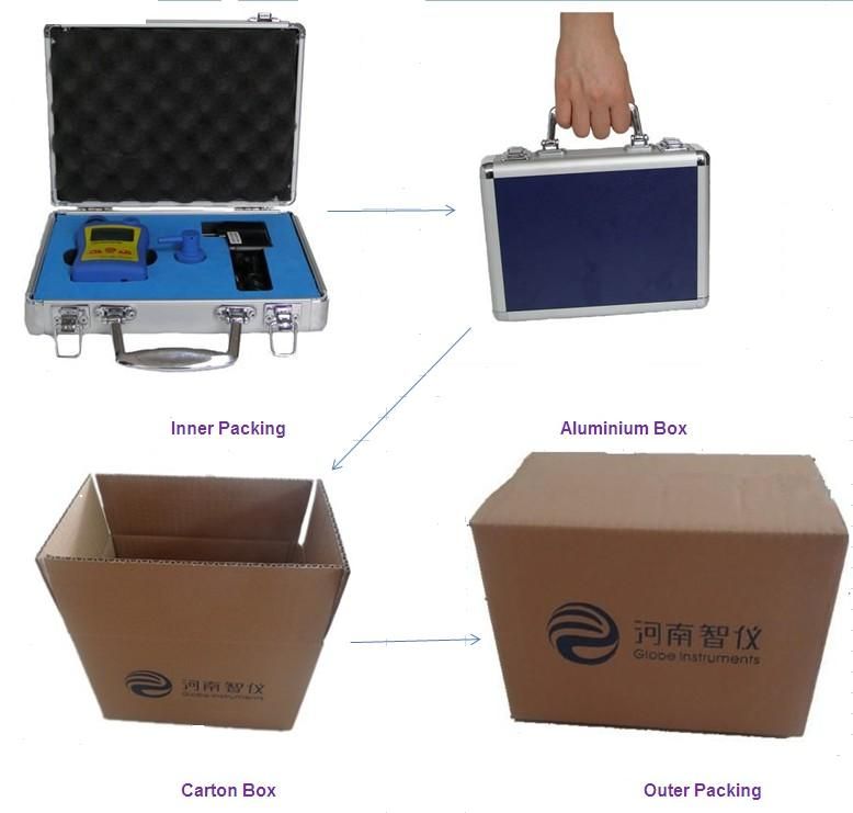 PGas-21 portable single gas detector 