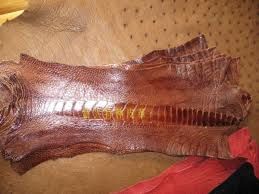 Ostrich Leather