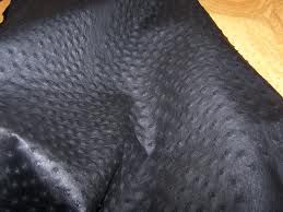 Ostrich Leather