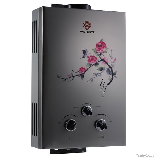 Gas Water Heater