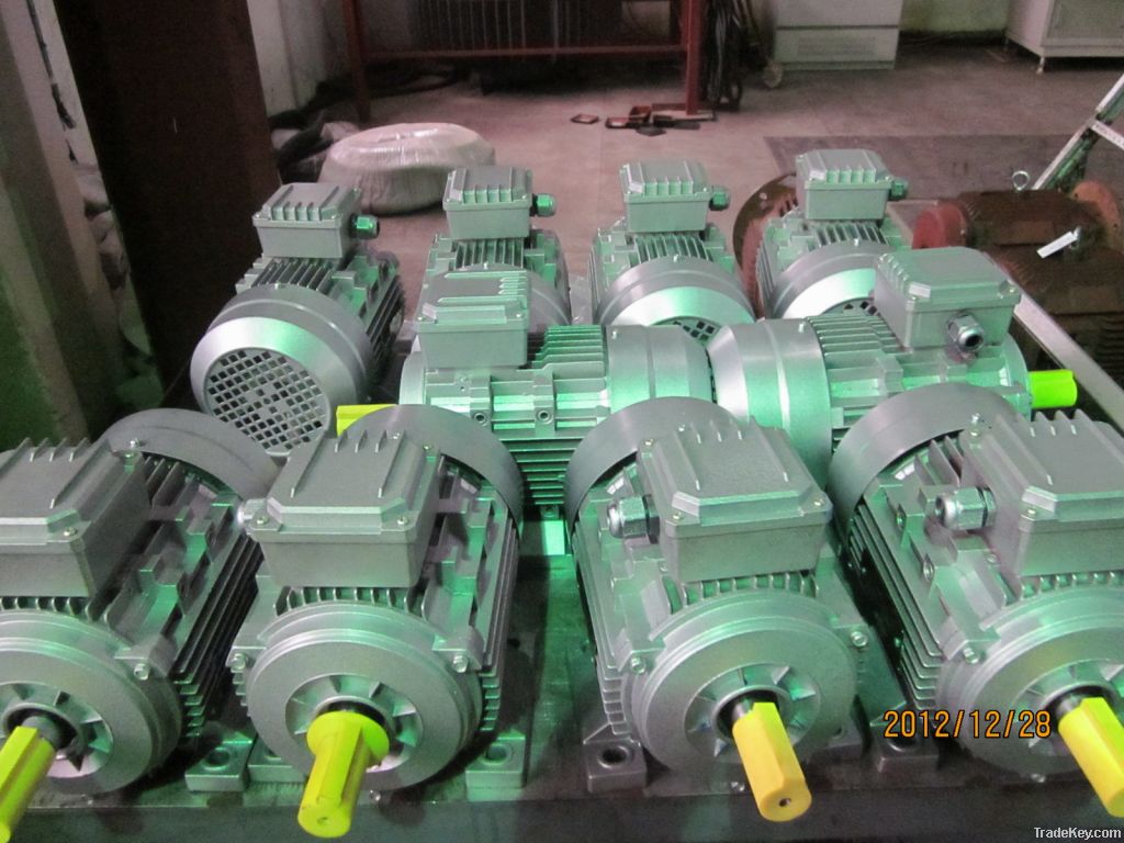 AC Induction Motors