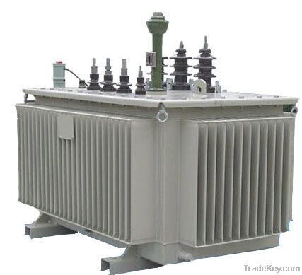 Oil Immersed Power Transformers