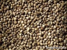 Flax Seeds, Jatropha Seeds, Rape Seeds, Castor Seeds, Cotton Seeds, Ro