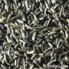 Melon seeds, Poppy seed, Moringa, Musk seeds, Nutmeg, Evening primrose, Nee