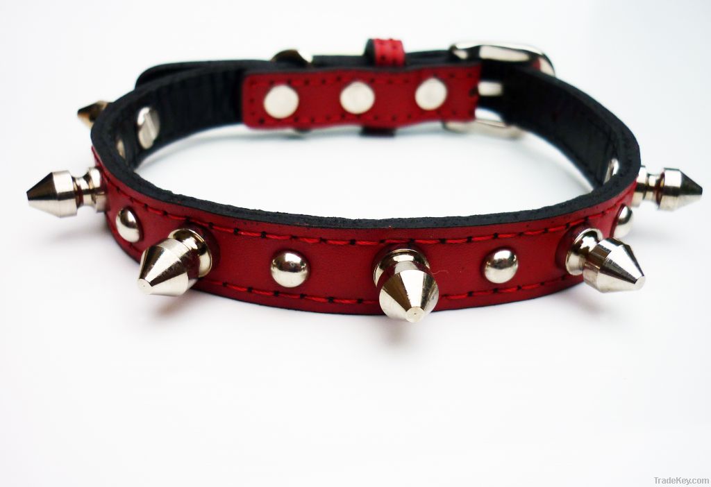 Dog and Cat Collars