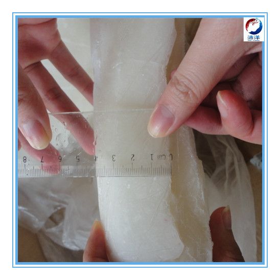 Giant Squid Fillet