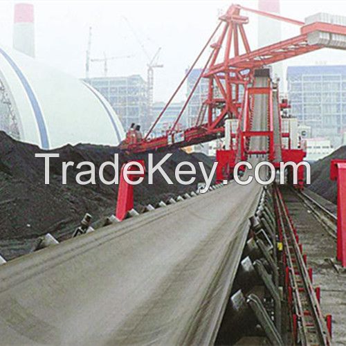 Stationary Conveyor