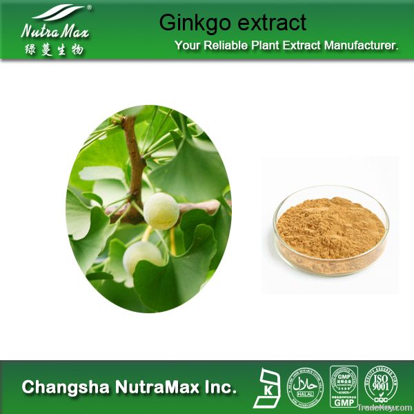 Ginkgo Biloba Extract