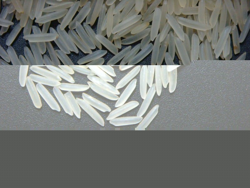 1509 Basmati Parboiled (Sella) Rice