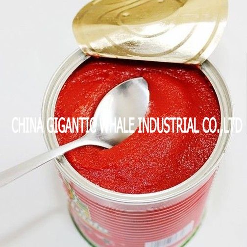 3kg/tin 2012 Crop Tomato paste