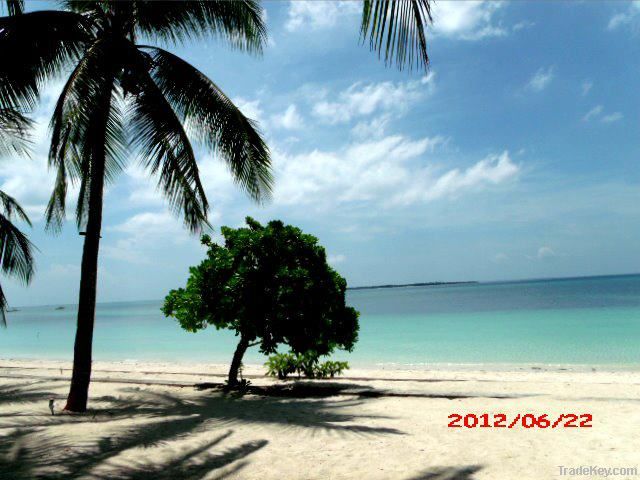 Fascinating Beach Resort @ the Heart of Cebu