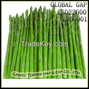 IQF Green Asparagus