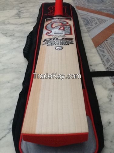 CA PLUS 15000 PLAYERS EDITION Cricket Bat