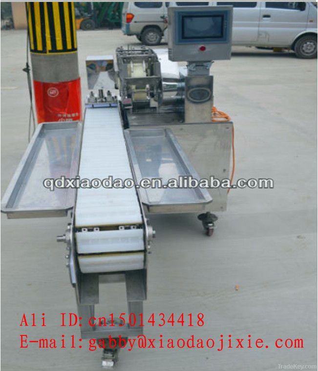 meat processing machines