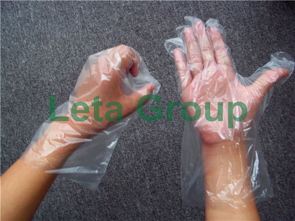 Disposable Plastic Glove