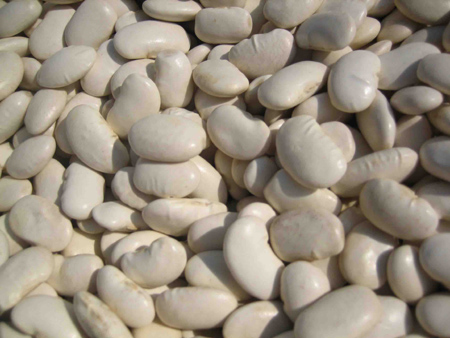 white kidney beans