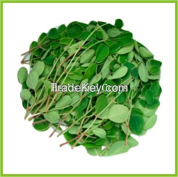 Moringa Powder