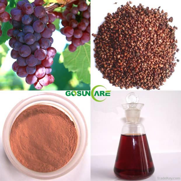 Grape Seed Extract