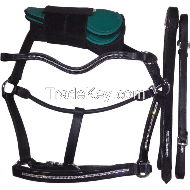 Genuine imported rolled leather horse halter with tendon boots,browband and leather stirrups