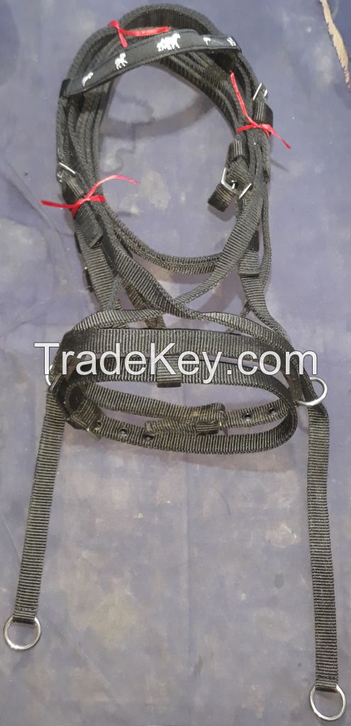 Genuine Imported PP horse bridle Black and Gray with rust proof fittings