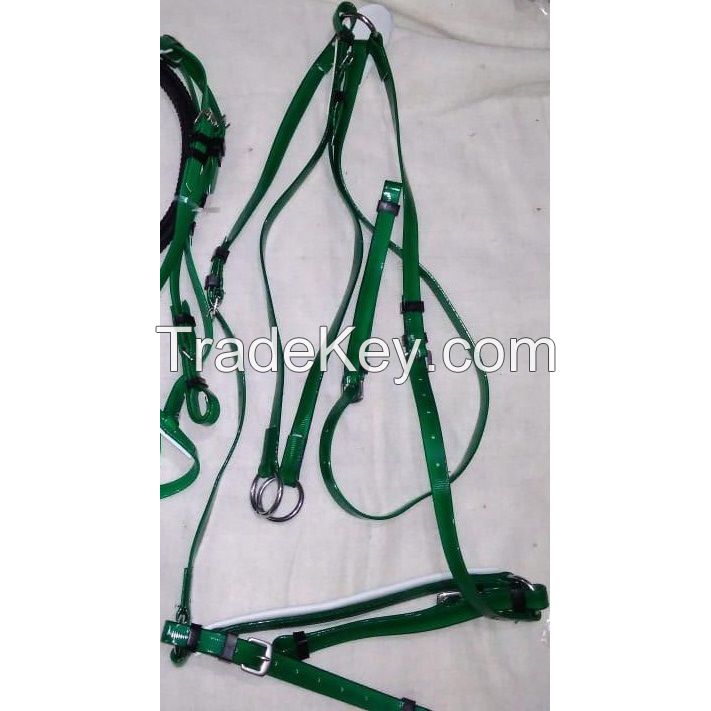 Genuine imported Quality PVC Riding Breastplate Orange with rust proof fittings