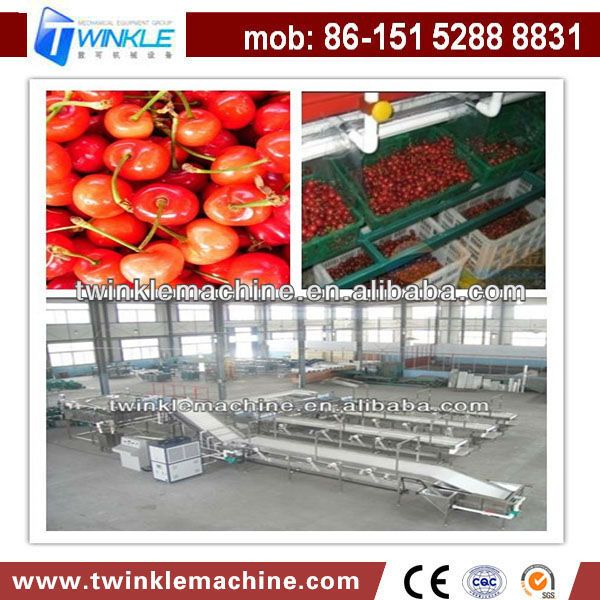 TK-G8500 FRUIT GRADING MACHINE/CHERRY PROCESSING LINE IN CHINA