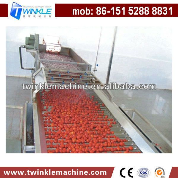 TK-TP1000 TOMATO PASTE MAKING MACHINE/PROCESSING LINE