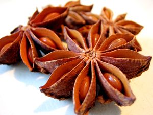 Star aniseeds, broken star anise, staranise oil, staranise power