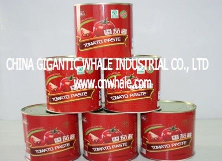 tomato paste198g