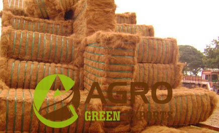 Coir Fiber