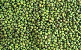 Mung Beans