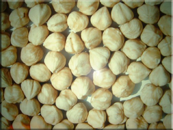 Hazelnuts