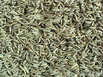 cumin seed