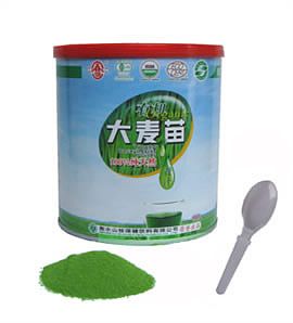 YOUNG BARLEY LEAVES POWDER