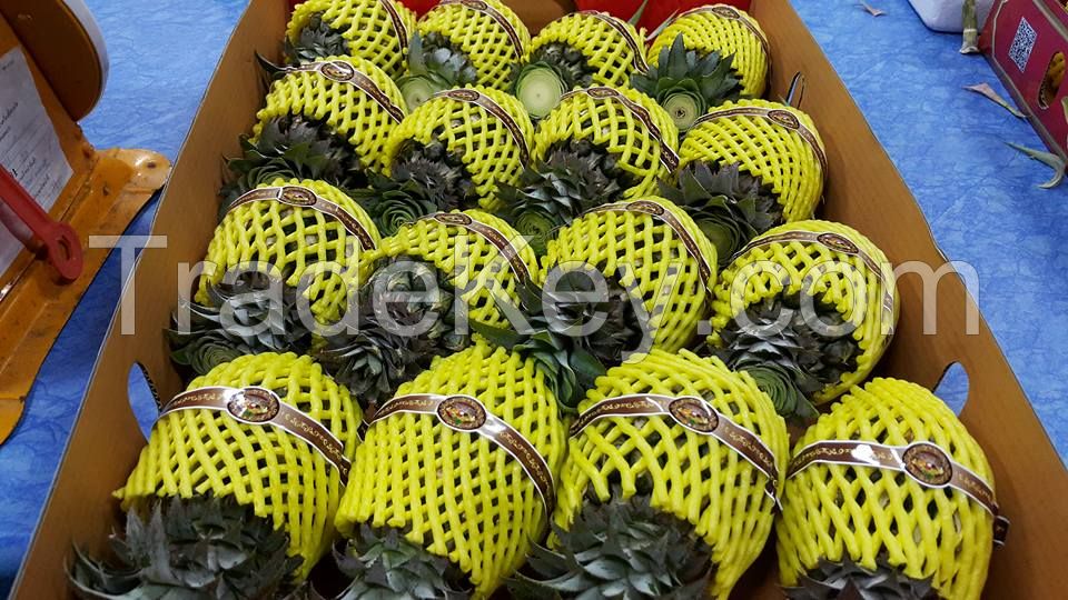 PREMIUM FRESH MINI PINEAPPLE / PHULAE Variety, / Northern TH