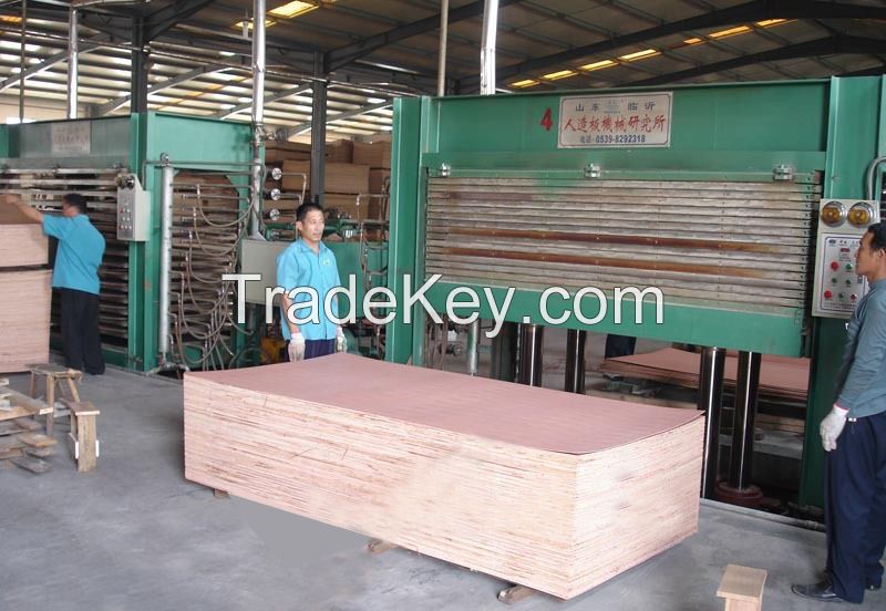 Baier High Quality Plywood/Film Faced Board