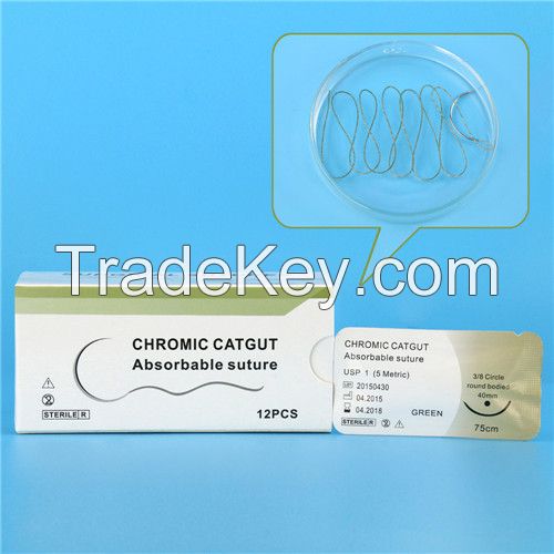 Chromic catgut suture